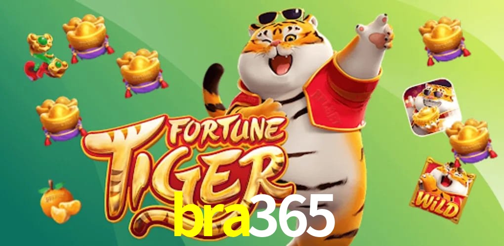 Experiência VIP bra365