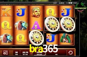 Descubra a Essência do bra365: Nossa História e Compromissos